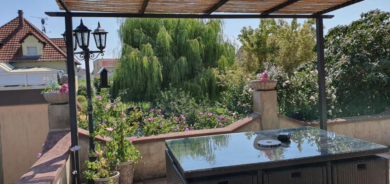Maison De Vacances Avec Piscine, Proche Strasbourg Et Europa Park Sand Εξωτερικό φωτογραφία